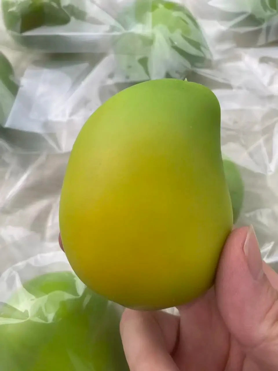 Color Changing Mango Fidget Toy