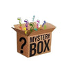 Sensory Squishy Blind Box Toy